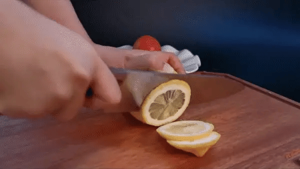 precision cutting Japanese knives