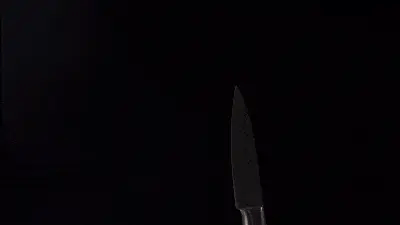 professional 3.5 inch paring knife