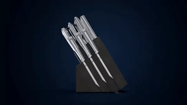 shap knife set with block
