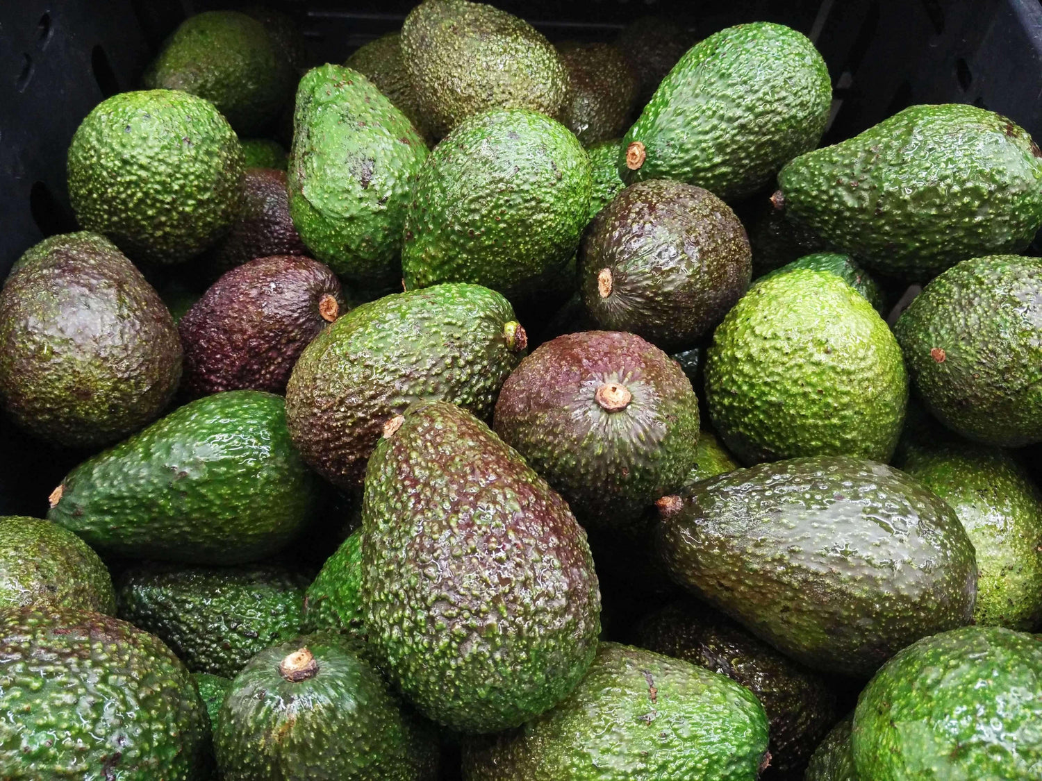 How to Choose a Ripe Avocado - IMARKU